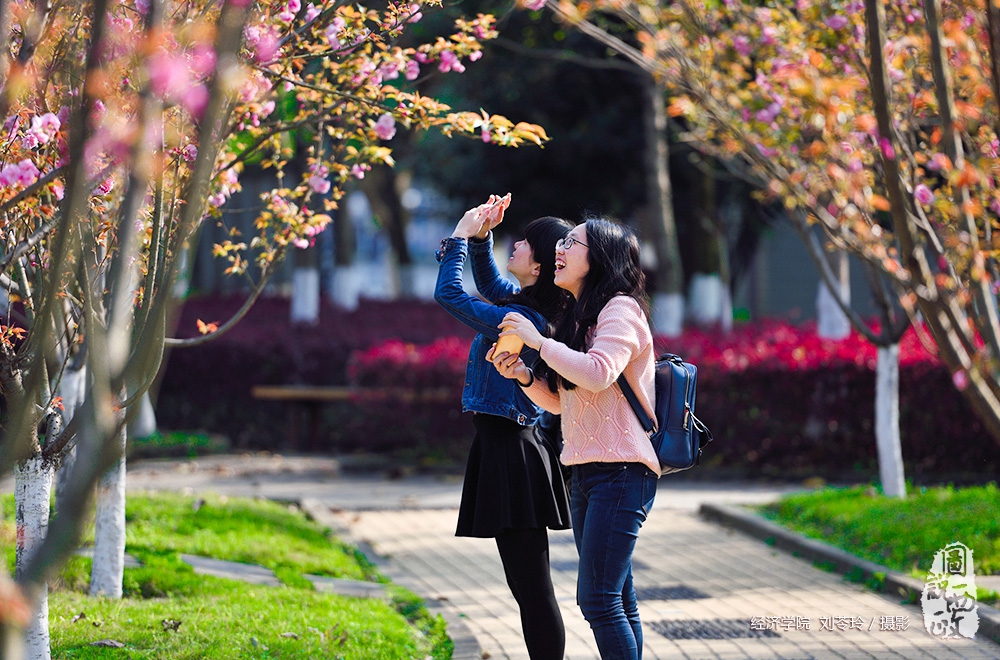 春到岭南樱花园